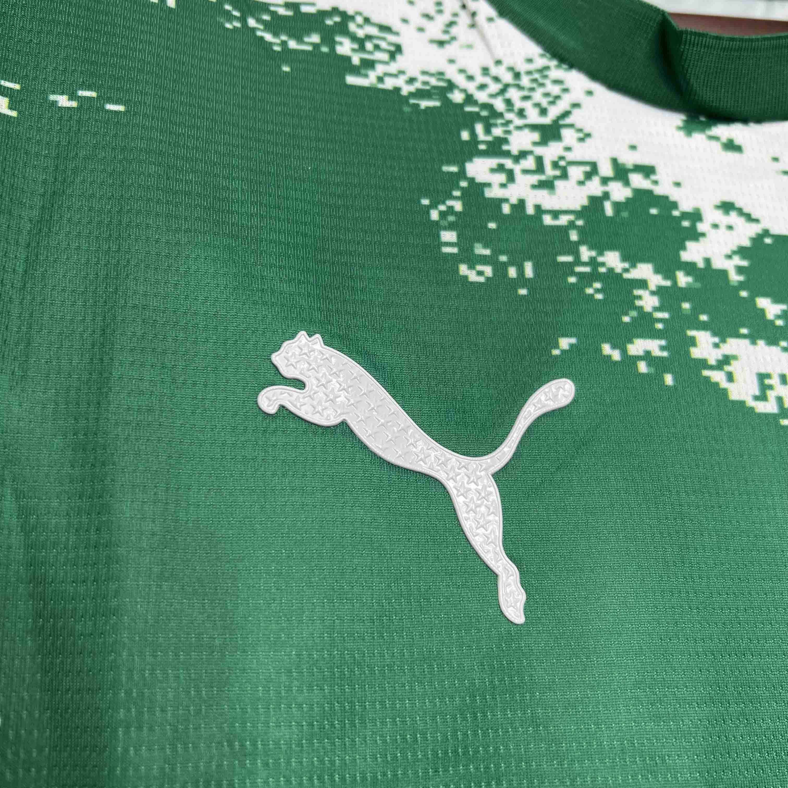 Palmeiras For a Greener Future Special Edition