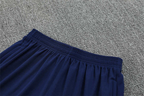 Tottenham Training Shorts 2025/2026