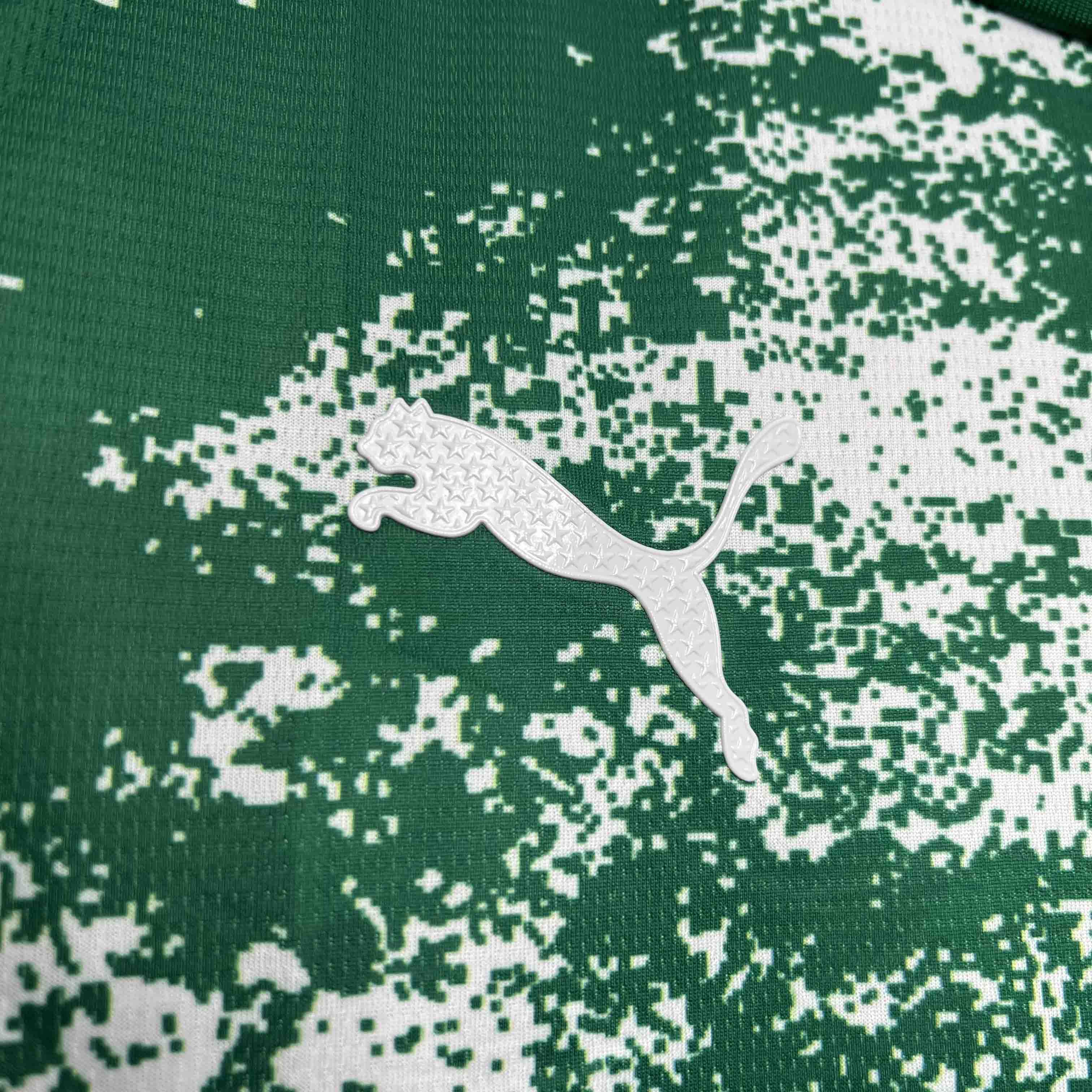 Palmeiras For a Greener Future Special Edition