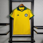 Palmeiras 2014 Jersey - Retro Version