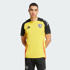 Camisa Treino Atlético Mineiro 2024/25