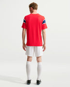 Norway World Cup 2026 Home - Player Version