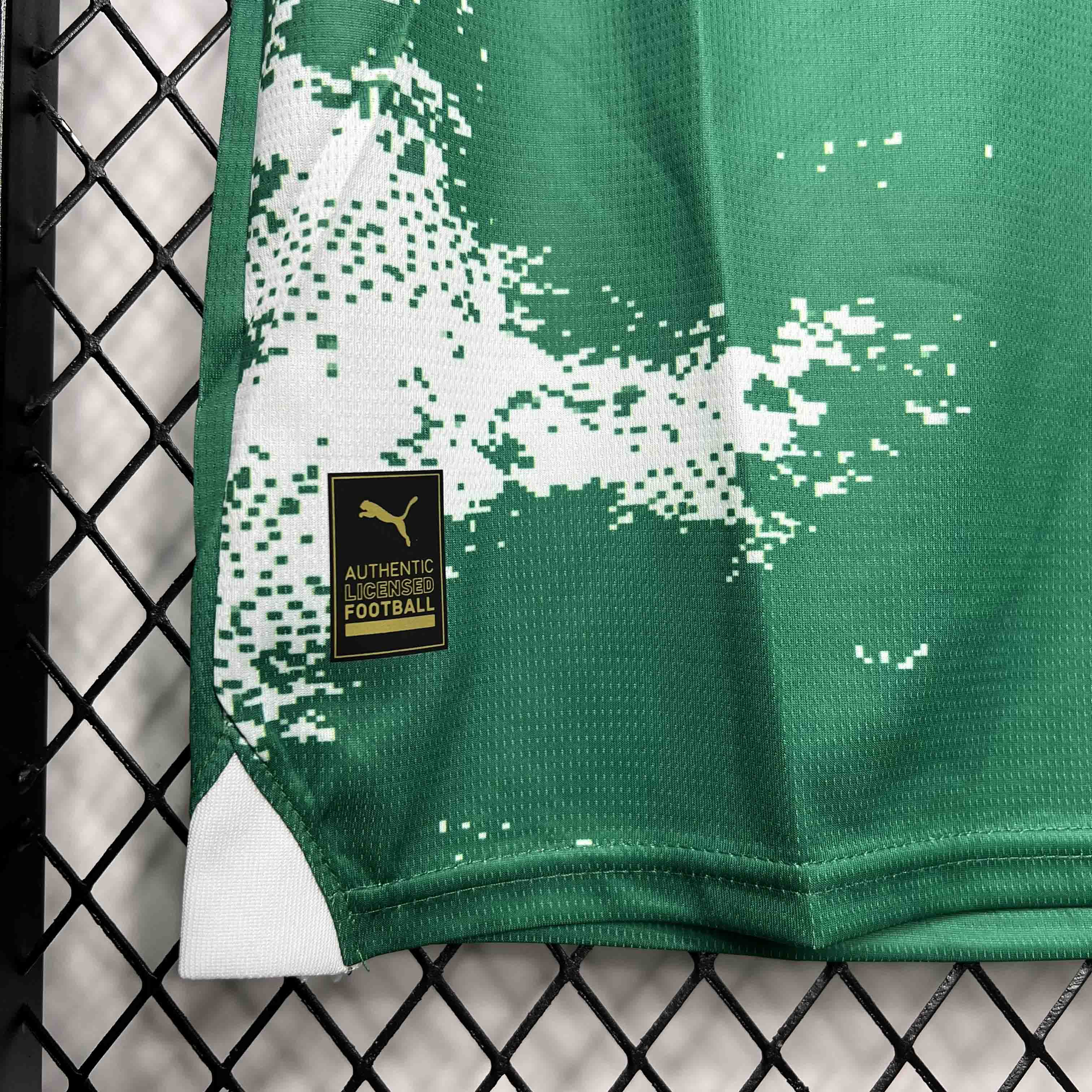 Palmeiras For a Greener Future Special Edition