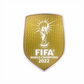 World Cup 2022 patch